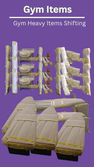 gym equipment packers and movers lucknow